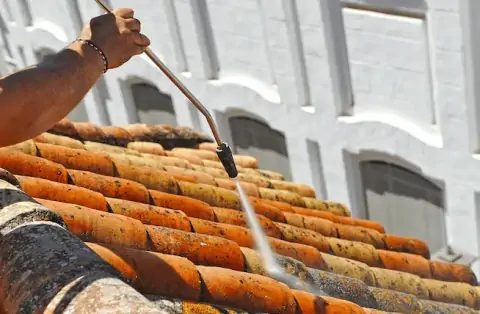 Nettoyage de toitures - Montbonnot-Saint-Martin